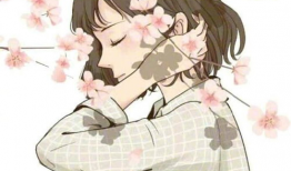 情感动漫,探寻情感动漫中的心灵共鸣