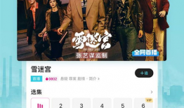 优酷视频电视剧,穿越时空的浪漫传奇